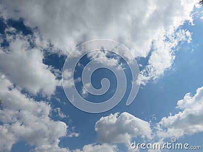 Light Grey and White Multiple Cumulus Fluffy clouds in the Blue Sky behind green leaves from a tree top Stock Photo