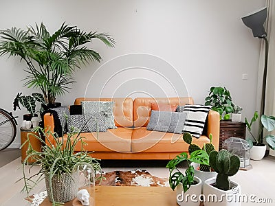 Light modern living room with brown leather couch, cowhide rug and numerous green houseplants creating an urban jungle Stock Photo