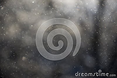 Light winter snow fall, blurry background Stock Photo