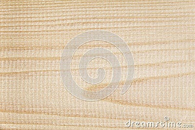 Light pine wood texture Stock Photo