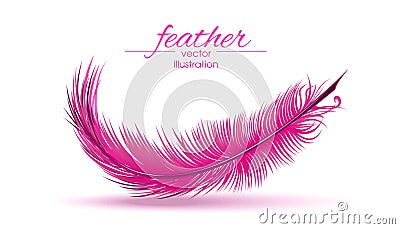 Light pink feather isolated on white background Cartoon Illustration