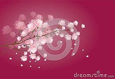 Light pink magnolia blossom on dark pink background Stock Photo