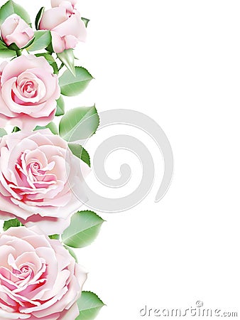 light pink roses blooming border frame Cartoon Illustration