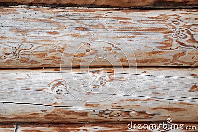 light round wooden beams timber. Outdoor wall of house. Wood texture background Stock Photo