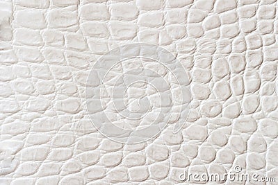 Light scales macro exotic background, embossed under the skin of a reptile, crocodile. Texture genuine leather close-up Stock Photo