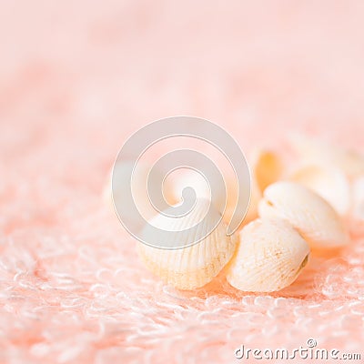 Light sea shells on soft pink terry texture Stock Photo