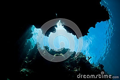 Light Shines Into Dark Underwater Crevice in Raja Ampat Stock Photo