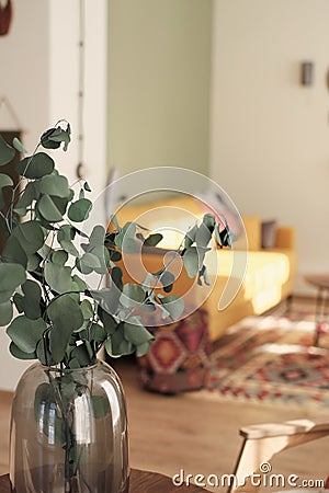 light and sunny interior of a living room defocused with eucalyptus branches in a vase on foreground. etno style boho Stock Photo