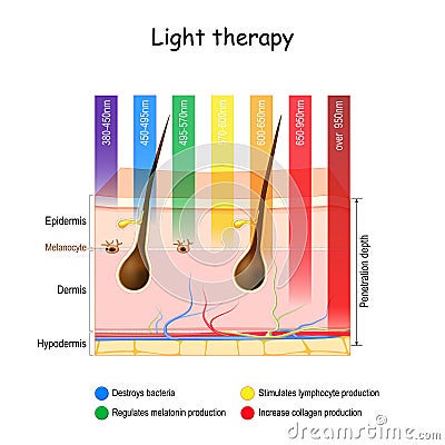 Light therapy. phototherapy of the skin Vector Illustration