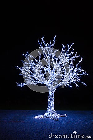 Light tree Stock Photo