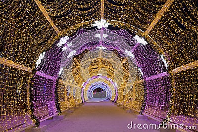 The light tunnel on Tverskoy Boulevard Editorial Stock Photo