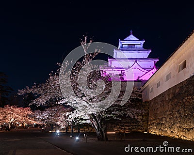 Light up of cherry blossoms tree in Tsuruga Castle Aizu castle Stock Photo