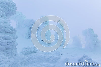 Light up snow monsters at Zao mountain Stock Photo