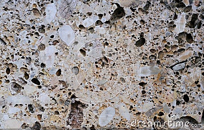 light wall, slab of sawn shell rock with a fine texture of pebbles, pits, part of building, beautiful vintage texture, brown Stock Photo