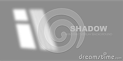 Light from window on the wall shadow overlay. Sunlight glowing through window frame design mockup. Vector minimalistic Vector Illustration