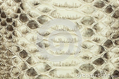 Light yellow python leather, skin texture for background. Stock Photo