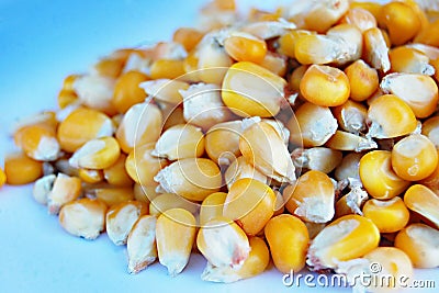 Light yellow, uncooked corn grains Stock Photo