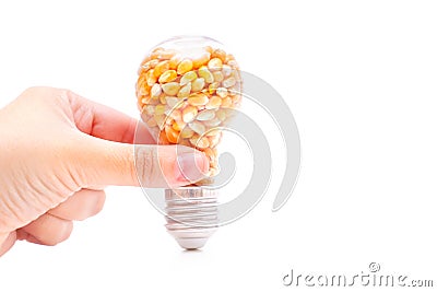 Lightbulb with popcorn seeds in hand on white Stock Photo