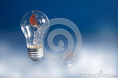 Lightbulb SnowGlobe Cartoon Illustration