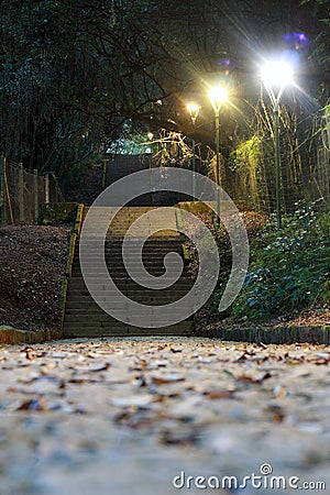 LIGHTED STAIRCASE IN THE MIDDLE OF THE VIRGIN FOREST Stock Photo