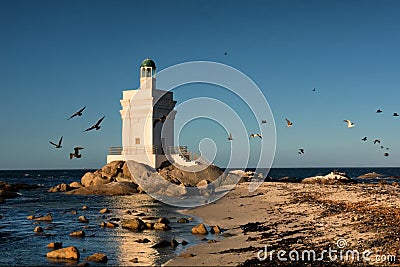 Lighthouse and birds Stock Photo