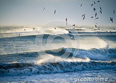 Lighthouse in the sea during windstorm with seagulls. blue sky a Stock Photo