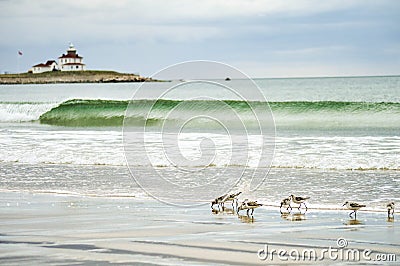 Lighthouse with small wave and birds Stock Photo