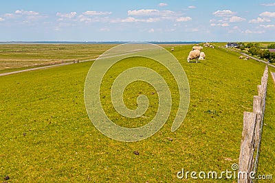 Nordfriesland Stock Photo