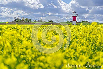 Lighthouses and a rapeseed field in south Sweden, Ven Island Stock Photo