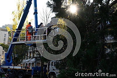 Illuminating the Christmas tree, Worker on lifting cart preparing a huge Christmas tree with holiday lights for Christmas Editorial Stock Photo