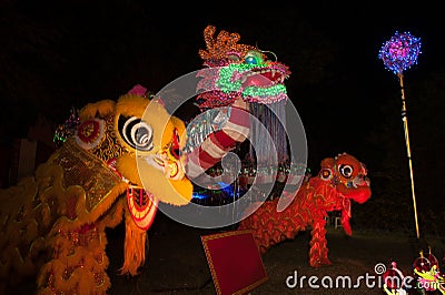 Lighting Dragons and Lion in Chinese New Year. Stock Photo