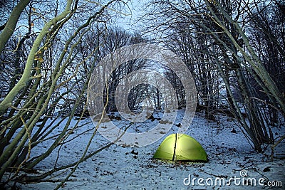 Lighting Tent In Bare Beechwood In Winter At Twilight Stock Photo