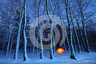 Lighting Tent In Snowy Woods Of Nebrodi Park, Sicily Stock Photo