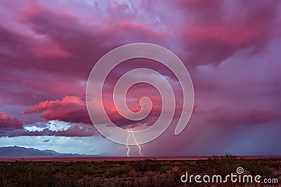 Lightning bolts strike from a distant storm Stock Photo