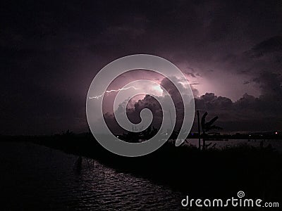 lightning in summ Stock Photo