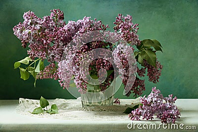 Lilac Stock Photo