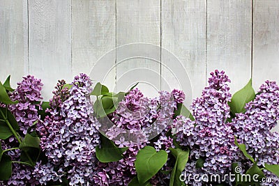 Lilac blossom Mockup on rustic wooden background Stock Photo