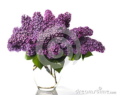 Lilac bouquet isolated on white Stock Photo