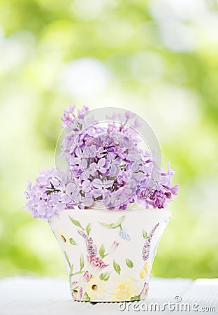 Lilac flower Stock Photo