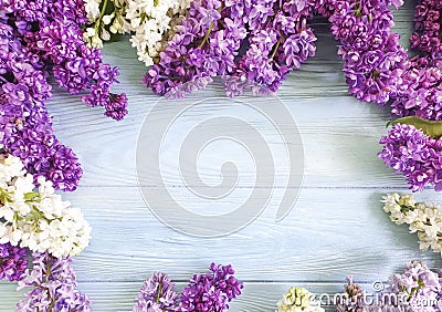 Lilac flower on blue wooden background frame beauty Stock Photo