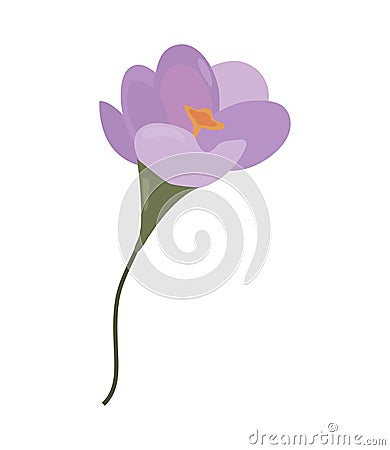 lilac flower petals Vector Illustration