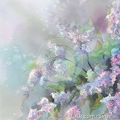 Lilac flower watercolor Stock Photo