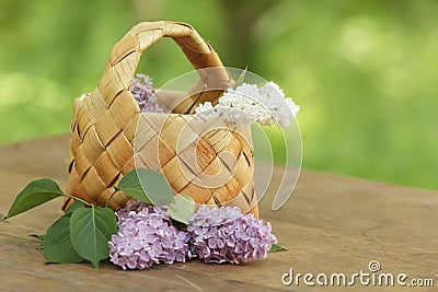 Lilac flowers in birchbark basket on table Stock Photo