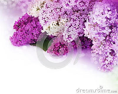 Lilac flowers bouquet Stock Photo