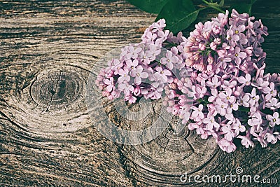 Lilac flowers bouquet on old wooden plank background. Stock Photo