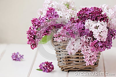 Lilac Flowers Bouquet Stock Photo