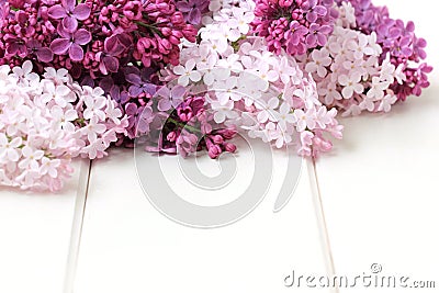 Lilac Flowers Bouquet Stock Photo