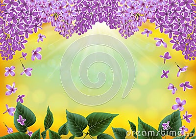 Lilac flowers decoration Vector Illustration