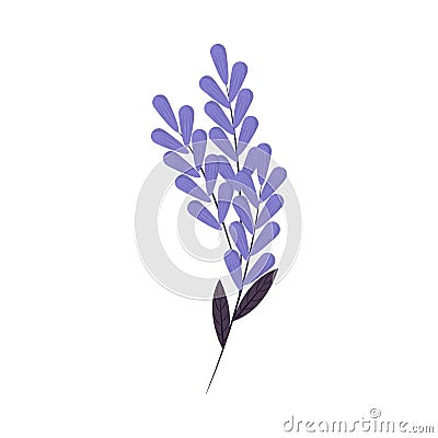 lilac flowers leaf Vector Illustration