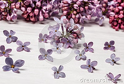 Lilac flowers on an old wooden board Stock Photo